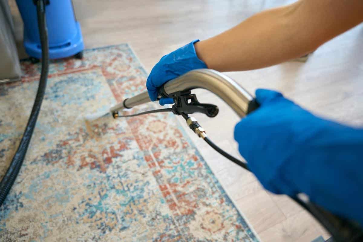 What Are The Health Benefits Of Professional Carpet Cleaning