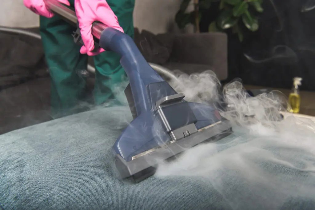 The Pros and Cons of Different Steam Cleaning Methods