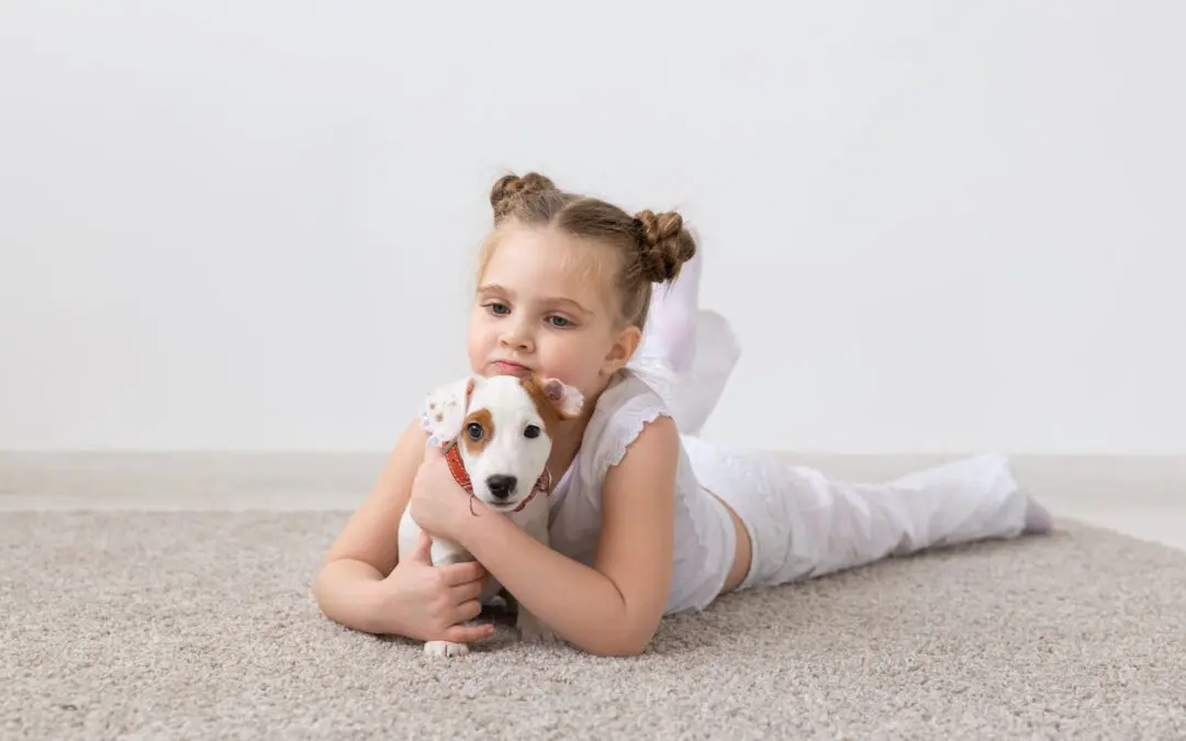 Pet-Friendly Murphy Carpet Cleaning Services: A Guide for Pet Owners