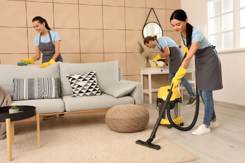 How Professional Carpet Cleaning Companies in Dallas TX Can Prolong the Life of Your Carpets – Neighbor Carpet Cleaning