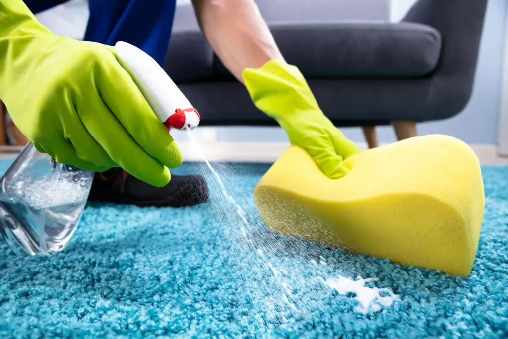 Top Benefits of Hiring Professionals for Express Carpet Cleaning in Allen TX – Neighbor Carpet Cleaning