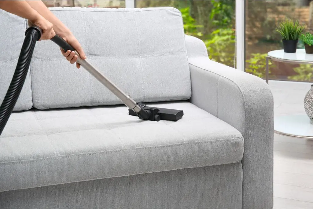 Neighbor Carpet Cleaning’s Secret to Long-Lasting Upholstery A Professional Upholstery Cleaning Machine!