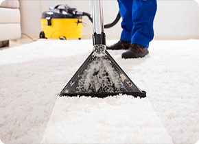 carpet cleaning 21 2