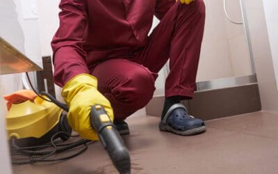 tile grout cleaning Can carpet cleaning remove stains from high traffic carpet areas in Plano TX