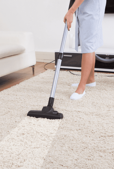 Can carpet cleaning remove dirt tracked in from pets in Murphy TX