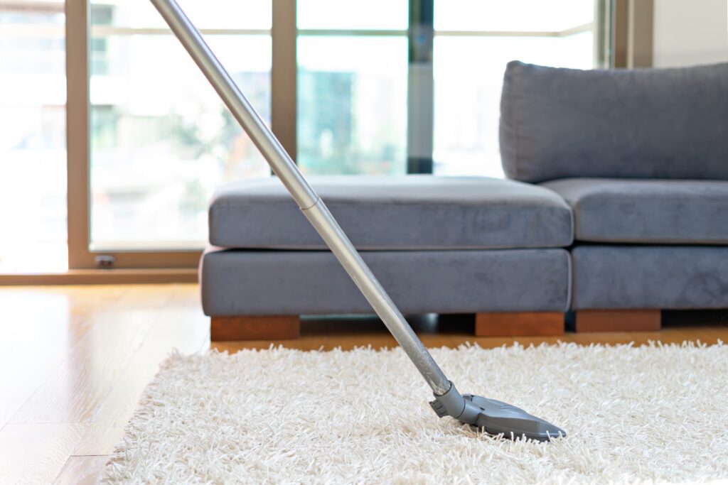 The Advantages of Dry Carpet Cleaning Services for Your Home