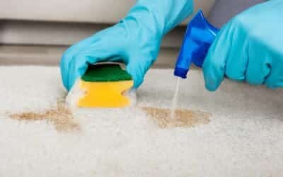 cleaner spraying scrubing carpet big How does carpet cleaning extend carpet lifespan in Frisco TX