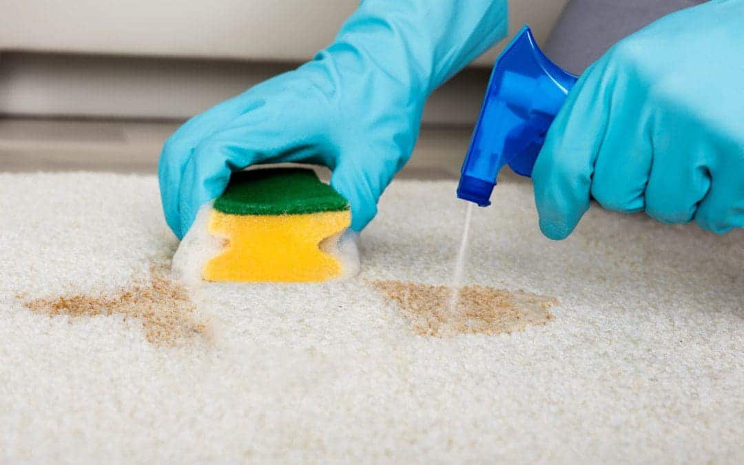 How does carpet cleaning extend carpet lifespan in Frisco TX