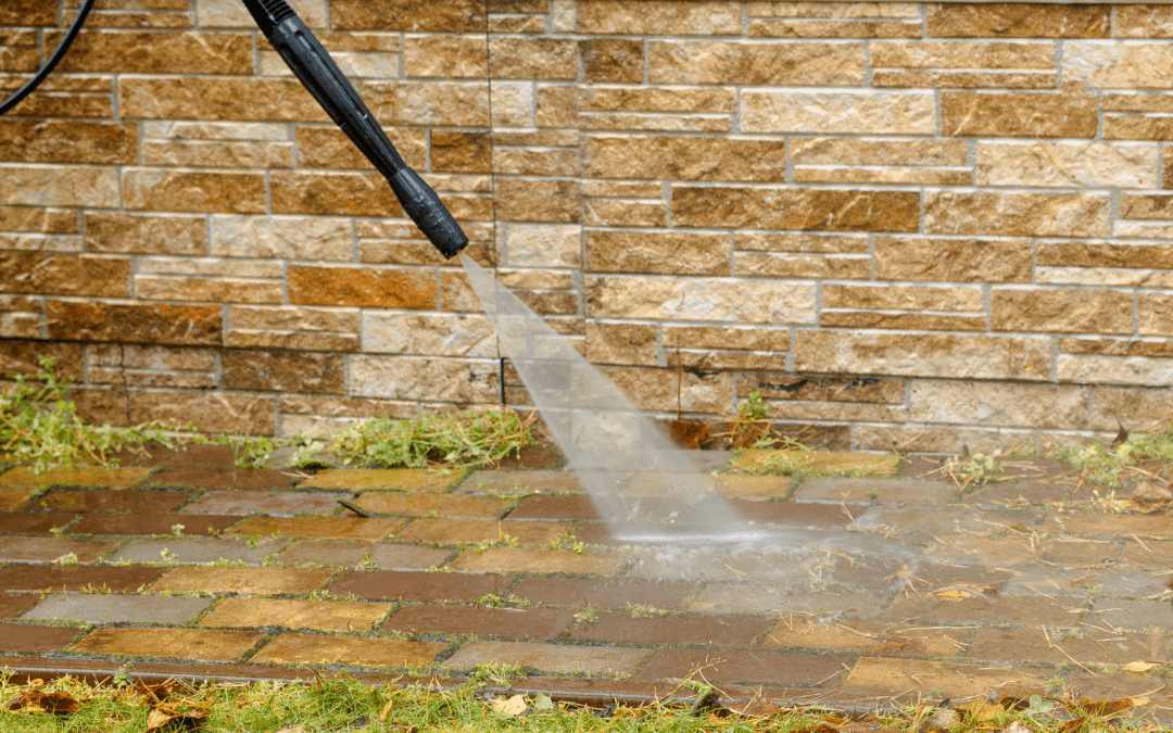 How often should carpets be cleaned to maintain a healthy home in Plano TX