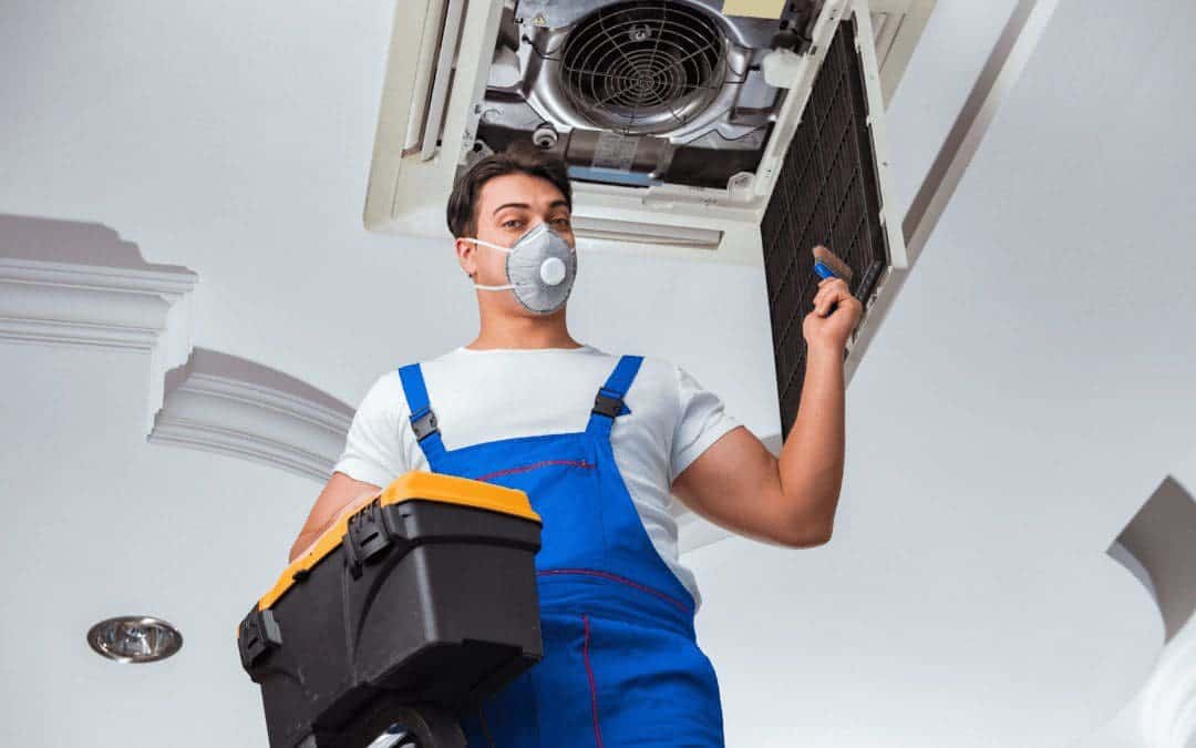 Can carpet cleaning remove odors from food spills in Plano TX