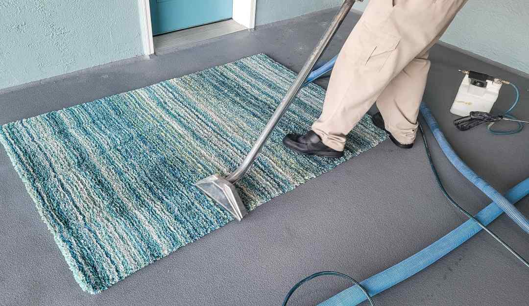 Professional Rug Cleaning for Allergy Relief: Creating a Healthier Home Environment