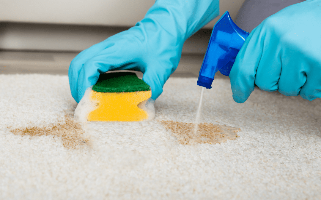 Can carpet cleaning remove stains left by cleaners or soaps in Plano TX