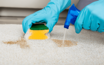 70823932 l normal none Can carpet cleaning remove stains left by cleaners or soaps in Plano TX