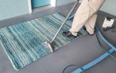 Best Carpet Cleaning in Plano – A Comprehensive Guide with Neighbor Carpet Cleaning