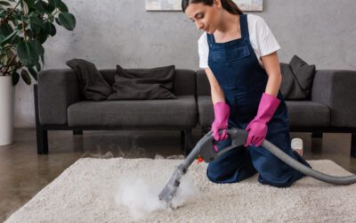 DIY vs. Professional Carpet Cleaning in Dallas: Which is Right for You?