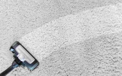 No.1 Best Carpet Cleaning Allen Texas Neighbor Carpet Cleaning 1 Carpet Odor Removal After Pets or Spills (Plano to Allen)
