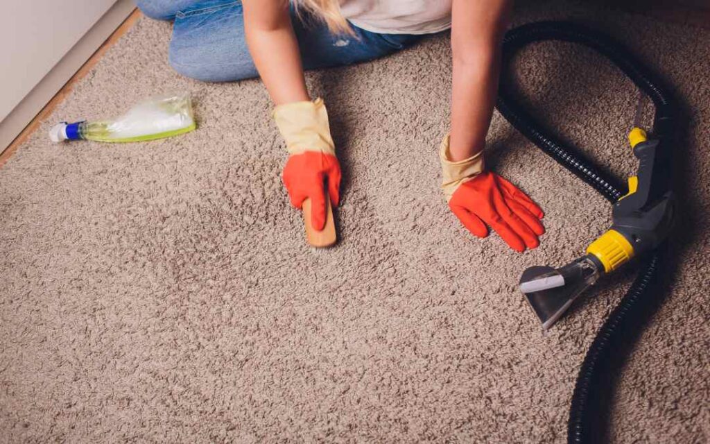 How to Prepare Your Home for a Carpet Cleaning Service in Dallas TX