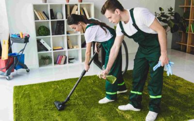 Discover Quality and Care: Neighbor Carpet Cleaning, Your Ultimate Carpet Cleaning Service in Plano, TX