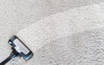 Best Carpet Cleaning in Plano, Texas: A Deep Dive into Hygiene and Home Maintenance with Neighbor Carpet Cleaning