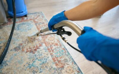 Carpet Care Chronicles: Neighbor Carpet Cleaning Emerges as the Go-To Carpet Cleaner in Plano