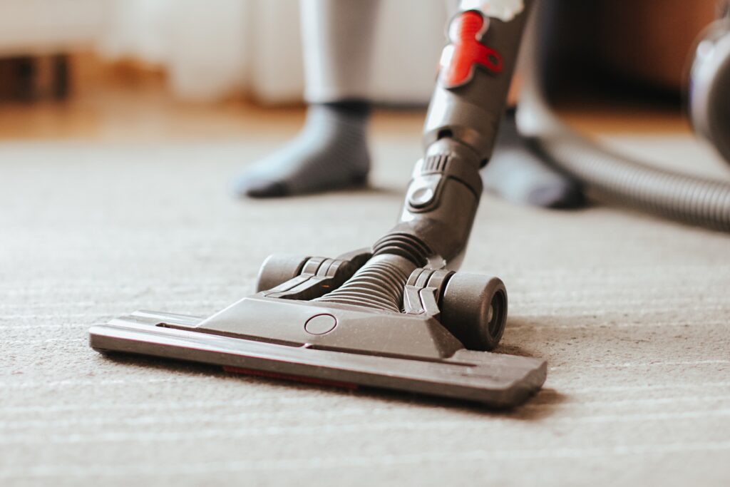 DIY vs. Professional Carpet Cleaner in Dallas: What's the Best Option for You?