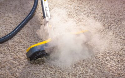 Hidden Dangers Lurking in Your Carpets: Why Regular Plano Carpet Cleaning is Essential