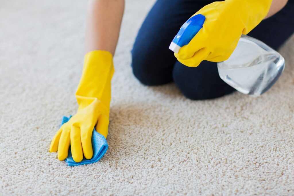 Professional Carpet Cleaning Plano TX Restoring the Beauty of Your Home with Neighbor Carpet Cleaning