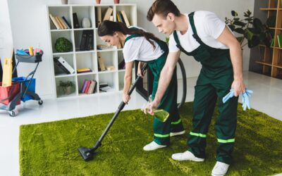 Slaying Stains and Dust: Neighbor Carpet Cleaning’s Journey to Being the Best Carpet Cleaner in Dallas, TX!