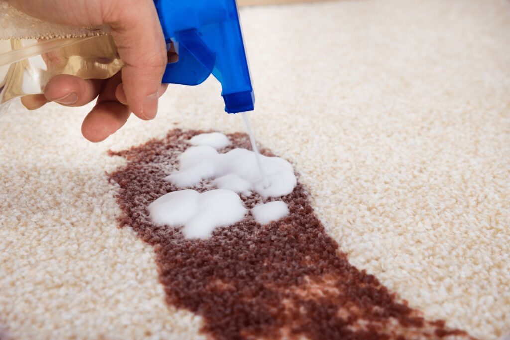 The Science of Stain Removal How #1 Carpet Cleaning Services in Dallas TX Excel