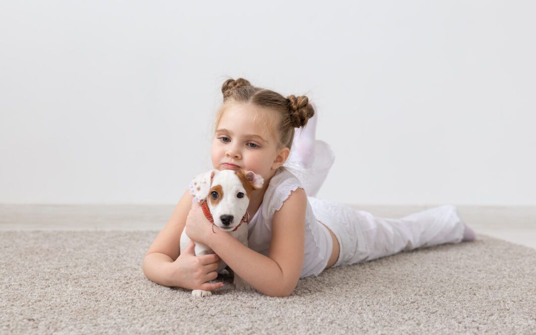 Pet-Friendly Murphy Carpet Cleaning Services: A Guide for Pet Owners