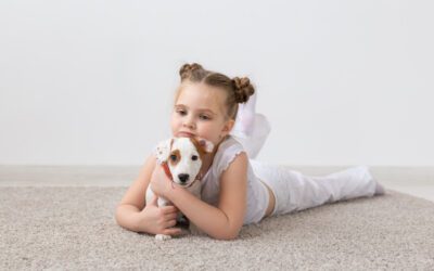Pet-Friendly Murphy Carpet Cleaning Services: A Guide for Pet Owners