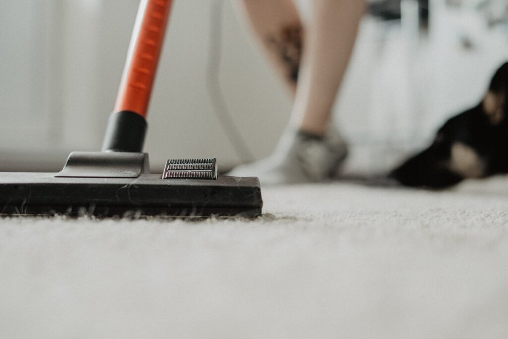 Cheap Carpet Cleaning in Dallas TX Myths vs. Facts with Neighbor Carpet Cleaning