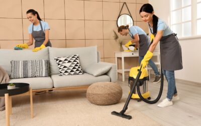 How Professional Carpet Cleaning Companies in Dallas TX Can Prolong the Life of Your Carpets – Neighbor Carpet Cleaning