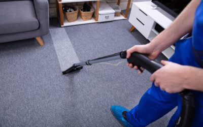 Tips for Maintaining Clean Carpets Between Neighbor Carpet Cleaning Services in Dallas TX