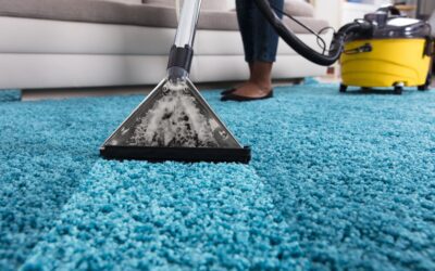 Top Benefits of Hiring Professionals for Express Carpet Cleaning in Allen TX – Neighbor Carpet Cleaning