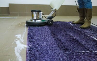 Emergency Neighbor Carpet Cleaning Service in Dallas TX: What to Do When Disaster Strikes