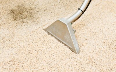 Pet Stains and Odor: Effective Dallas TX Carpet Cleaning Solutions with Neighbor Carpet Cleaning