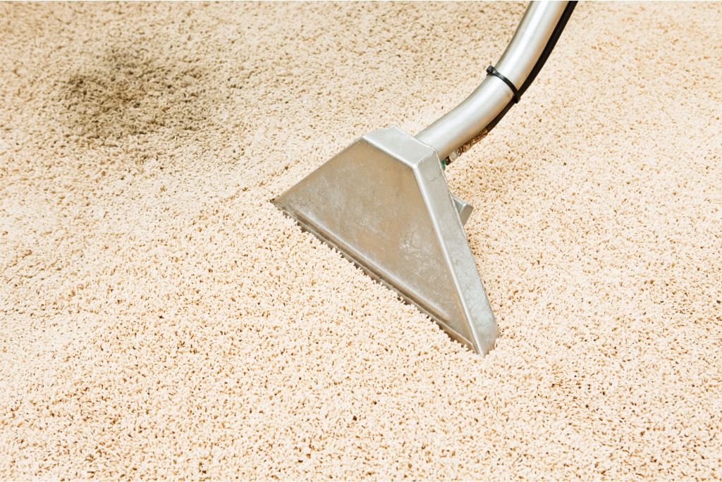 Pet Stains and Odor Effective Dallas TX Carpet Cleaning Solutions with Neighbor Carpet Cleaning