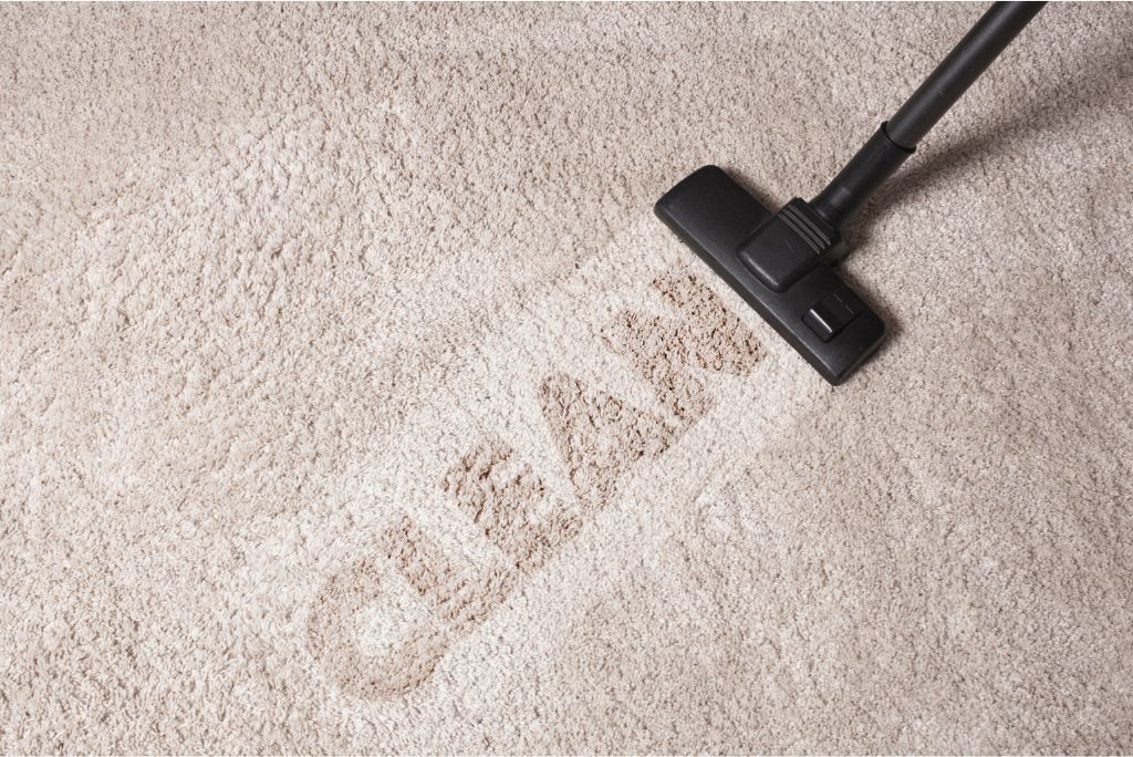 Professional Carpet Cleaning in Dallas TX with Neighbor Carpet Cleaning Why It's Essential for Businesses