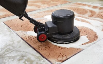 Professional Carpet Cleaning in Dallas TX with Neighbor Carpet Cleaning: Why It’s Essential for Businesses