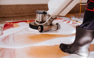 The Benefits of Professional Carpet Washing Near Me in Dallas TX vs. DIY Methods