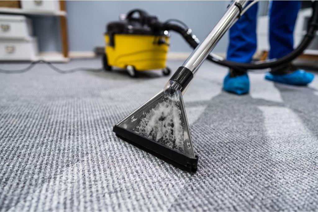 The Importance of Professional Carpet Cleaning in Dallas TX for Your Home – Neighbor Carpet Cleaning’s Insights