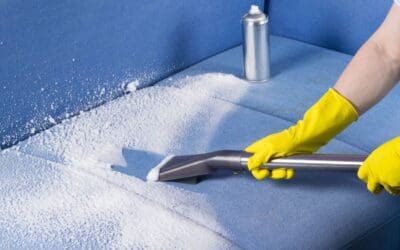 The Importance of Neighbor Carpet Cleanings Regular Upholstery Cleaning in McKinney TX for Allergy Relief 1 How Often Should You Clean Carpets in Allen, TX?