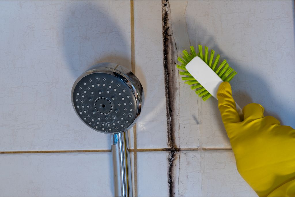 Professional vs. DIY Tile and Grout Cleaning in Plano TX Which is Right for You