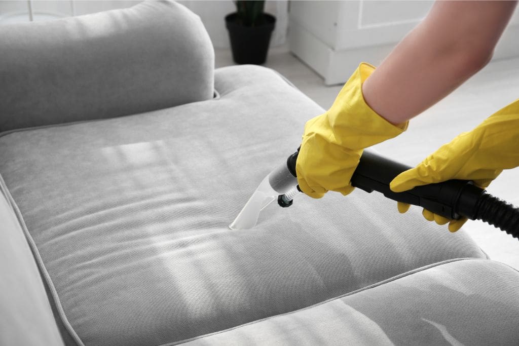 Why Neighbor Carpet’s Professional Upholstery Cleaning Near Me Is Essential for a Healthier Home