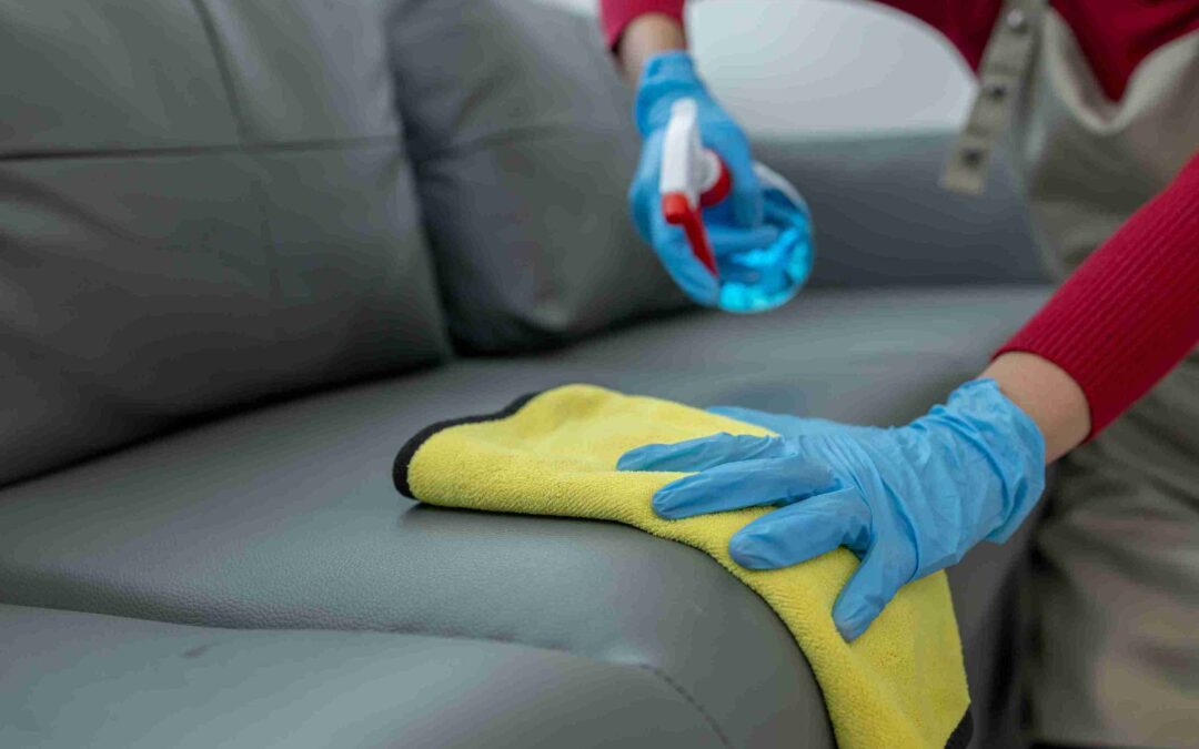 Transform Your Living Room with Neighbor Carpet Cleaning’s Best Fabric Sofa Cleaner