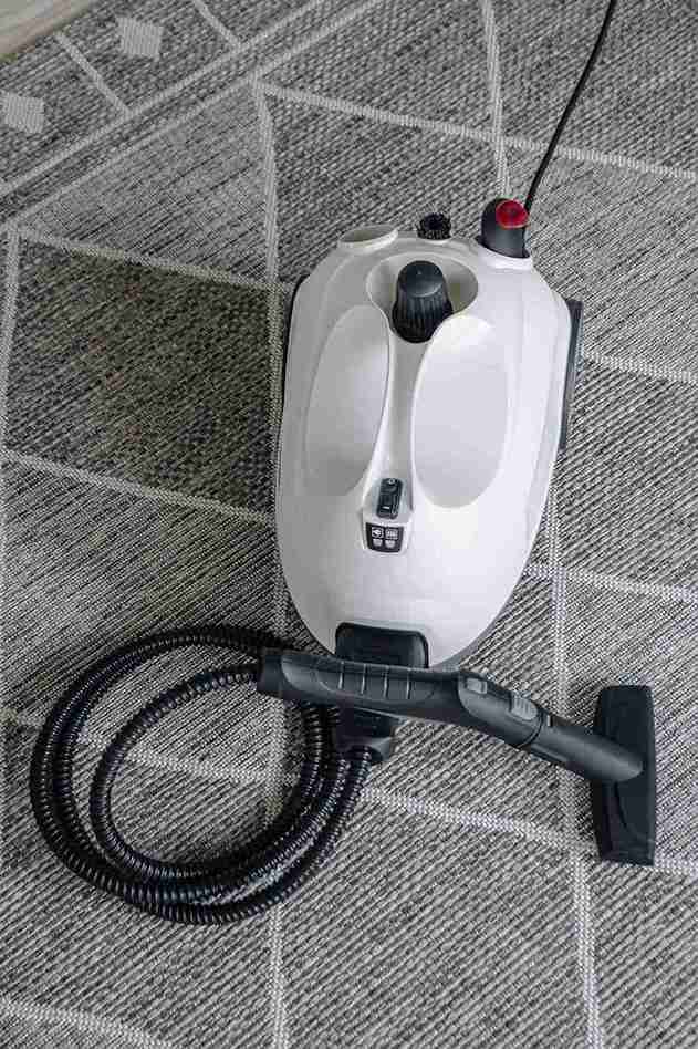 carpet steam cleaner Best Home carpet steam cleaner