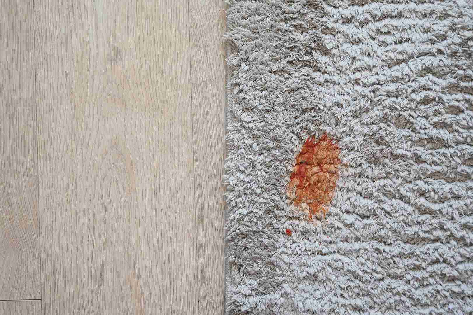 Pet Stain Removal texas